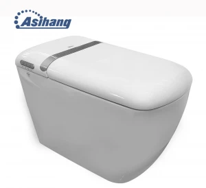 Asihang High Quality portable multifunction smart toilet Intelligent wc toilet