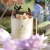 Import Beautiful Pillar Candles Wedding Candles Gift Candles Wholesale Easter Ramadan Home Decoration for Halloween Christmas from China
