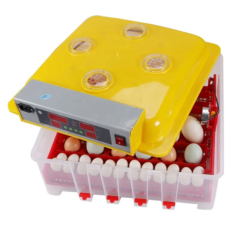 Best price high quality TD 36 egg incubator for sale in India