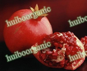 best price pomegranate juice concentrate / wholesale organic pomegranate juice concentrate
