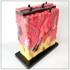 Best selling human structure skin anatomical model for teaching model