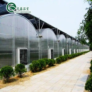 Best selling UV protection plastic greenhouse film for growing vegetables