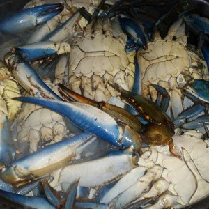 Blue Crabs,King Crabs /Live Seafood