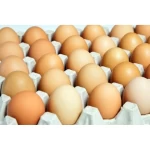 Brown And White Farm Fresh Chicken Eggs