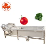 bubble vegetable fruit potato washer