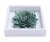 Import ceramic roses 3D Rose Wall Flower Decoration for Living Room Bedroom Hanging Ceramic Flower Pediments Sculpture, Purple, 5.51 in from China