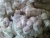 Import Cheap COTTON ROPE in 40 yards Coil Rolls "NORCOT" General Purpose Cotton Rope from Pakistan