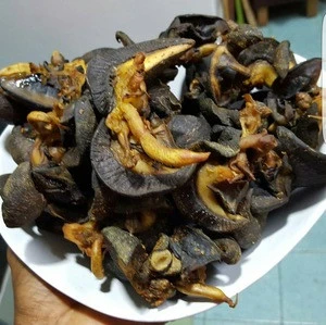 Cheapest price arrival Fresh African Giant Snails/Processed ,Frozen,Dried &amp; Alive Snails