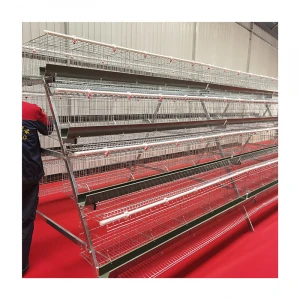 chicken egg layer poultry farm cage equipment for chicken egg incubator in South Africa