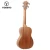 Import China Cheap Price Concert Ukulele 4 Strings Hawaiian Mini Guitar from China