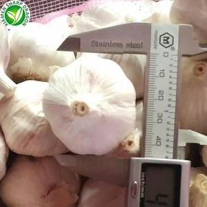 China/ Chinesse Shandong Fresh White Garlic Price