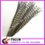 Import China factory price natural pheasant tail feathers for carnival costumes from China