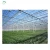 Import China glass greenhouse, venlo greenhouse, multi-span film greenhouse from China