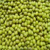 China heilongjiang green mung beans ( food grade)