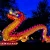 Import Chinese festival lantern red dragon lantern show from China