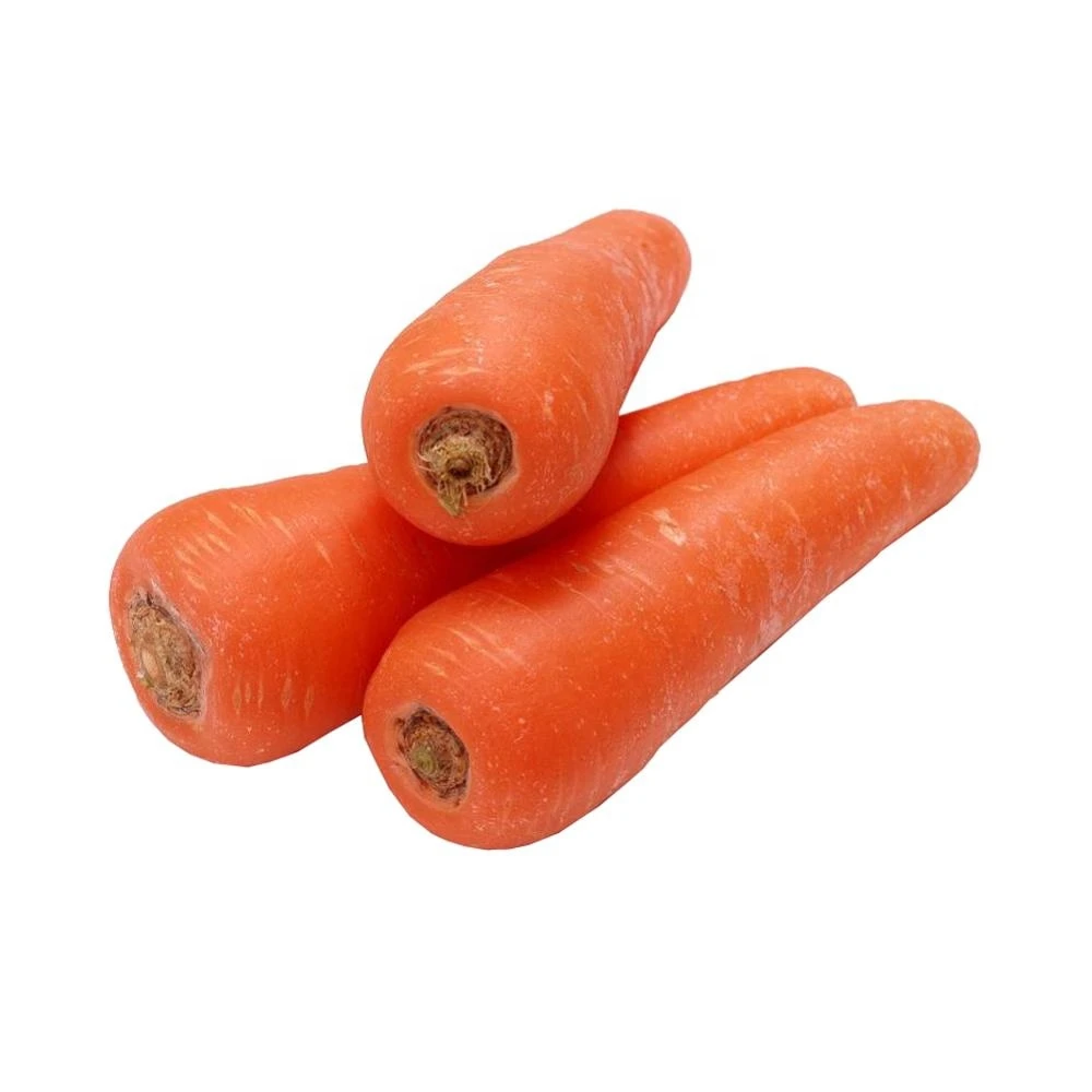 Chinese Fresh Carrot In China