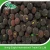 Import Chinese Fresh waxberry/Bayberry/Arbutus from China