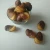 Import Chinese Supplier Salted Broad Beans Snacks Food from China