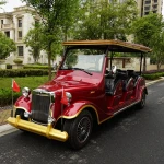 Classic mini car Vintage car electric or gas power with CE