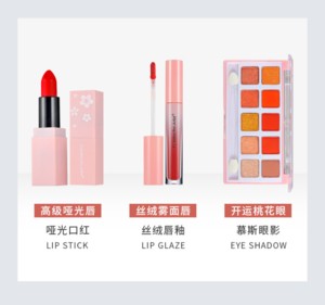 colorina Pro-artist Daily use cosmetics makeup sets make up cosmetics gift set tool kit makeup gift