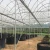Import Commercial Galvanized Steel Truss Greenhouse Poly Film Greenhouse from China