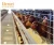 Import Commercial H type animal husbandry equipment poultry equipment chick cage from China