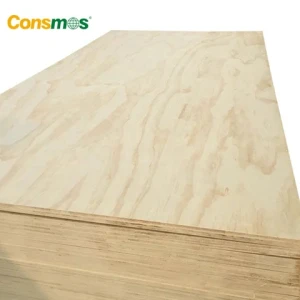 Comsmos 1220 x 2440mm poplar core pine commercial plywood sheet for furniture