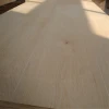 Construction grade pine plywood CDX plywood