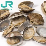 cooking frozen baby clam meat  shellfish