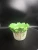 Import COUNTRY STYLE RESIN GREEN VEGETABLES SHAPE STORAGE PLANT POT HOME TEA TABLE DECORATION HOLIDAYS SOUVENIR FRIEND GIFTS CANDY BOX from China
