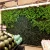 Import Decorative Mall Hotel Restaurant AirPort Artificial Plastic Green Wall Plants from China