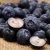 Import Delicious dried fruit Dried Blueberry 100% natural products from China