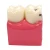 Import Dental study model  plastic periodontal teeth human medical decay teeth model anatomy teeth from China
