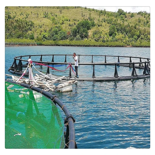 Diameter 10m DN315mm HDPE Floating Cage for Tilapia Fish Farming