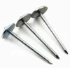 Direct Manufacturer  Factory Price Galvanized Umbrella Head Roofing Nails