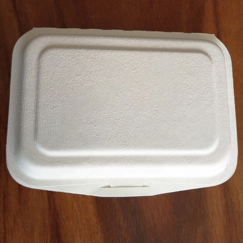 Disposable Baking Box Sugarcane Paper Lunch Box Container Chinese Pulp Food Grade Disposable 600ml Boxes with Lid Hamburger