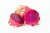 Import DRIED DRAGON FRUIT `100% NATURAL FROM THAILAND from Thailand