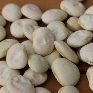 Dried Organic Lima Beans/ Canned Lima Beans
