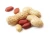 Import Dried Peanut kernels from USA