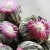Import Dropship Blooming Tea,2015yr Artistic Flower Tea,Blooming Tea Balls from China