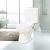 Elongated S-Trap Sanitary Ware Two Piece Ceramic Siphon Toilet Bowl