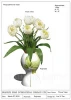 Erainlife china factory home decor resin flower vase,decorative vases with flowers