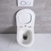 European newest mute wc Wall mounted toilet single hole tornado mute flushing toilet bowl wall hung wc rimless toilet
