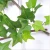 Import Fabulous Boston Ivy Wall Hanging or Wire Twining Decoration for Plant Lover from China
