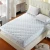 Import Factory cheap price home hotel water proof quilted bed cover mattress pad protector from China