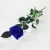 Import Factory Direct Sales discount ecuador rose with long stem best service and low price from China