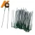 Import Factory!!!!!  Export to Australia New Zealand U Shape Galvanized Steel Weed Mat Pins Staples from China