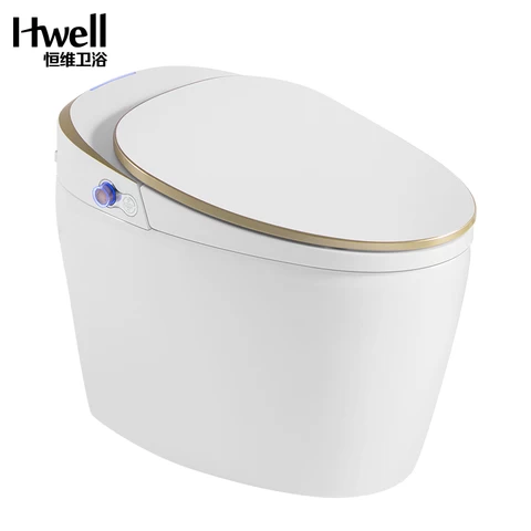 Factory Gold Plated Smart Bidet Bathroom One Piece Toilet Bowl with Seat Heating