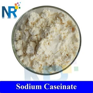 Factory price food grade Sodium caseinate