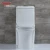 Import Factory supply hot sale ceramic  cheap wc one piece toilets for sale from China